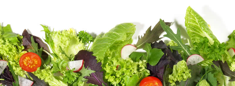 Salat Salat